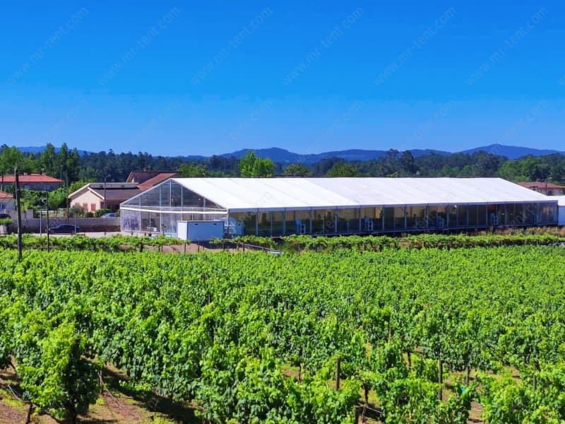 Carpa Blanca Clear Span para Grandes Bodas y Eventos