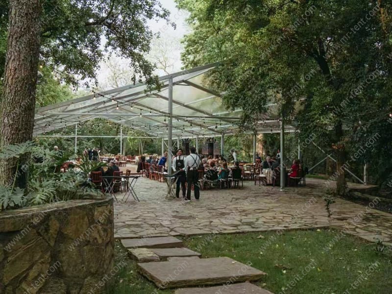 Carpa Grande Transparente con Techo Claro