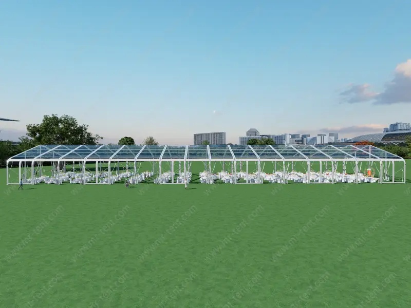 Carpa Curva Transparente para 500 Personas en Venta