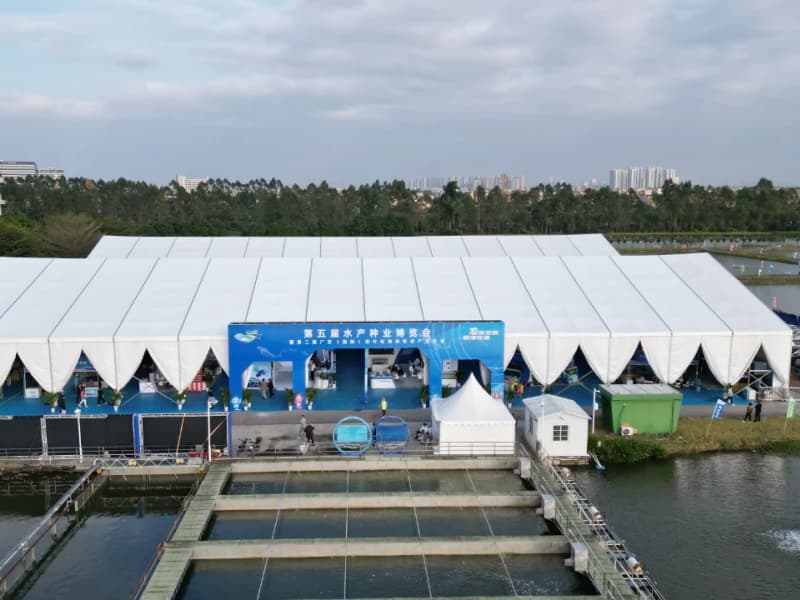 Carpa Comercial Blanca Mixta para Eventos y Fiestas