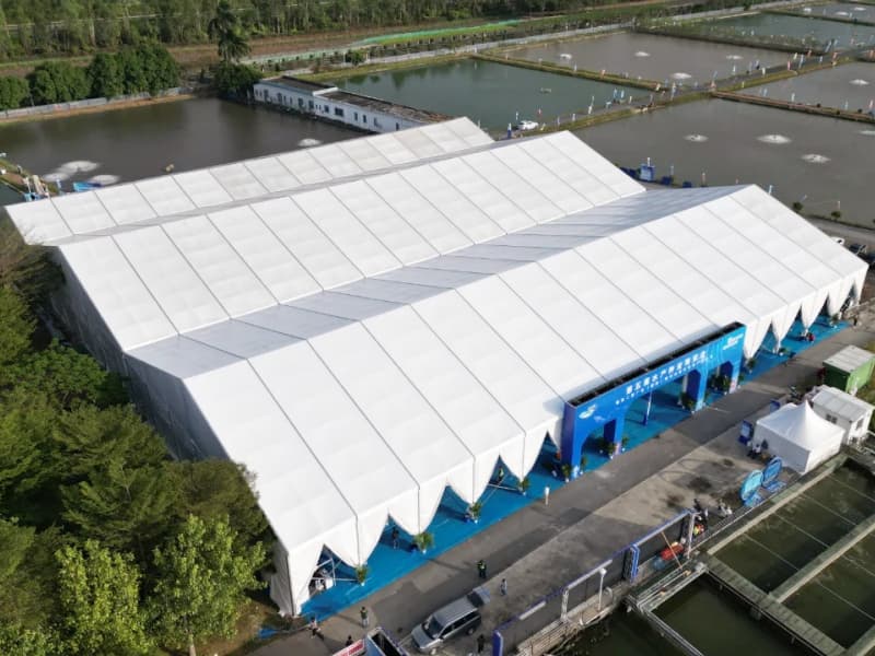 Carpa Comercial Blanca Mixta para Eventos y Fiestas